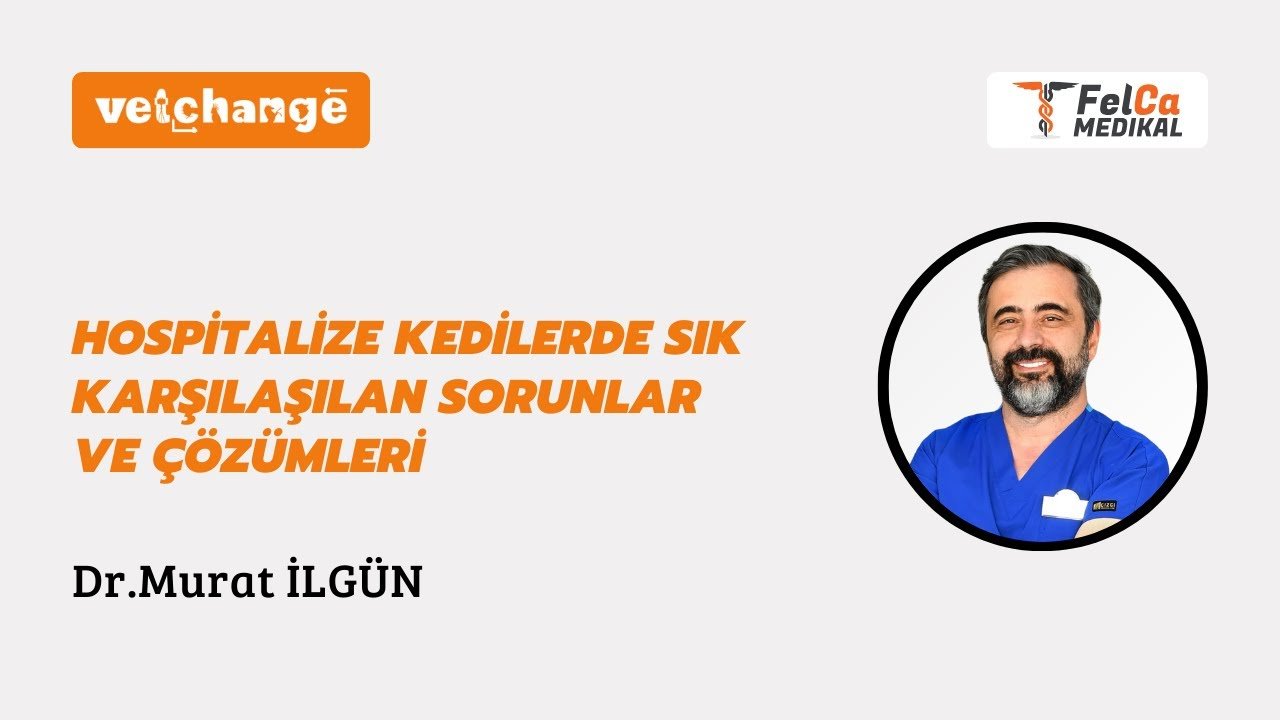 "Hospitalize Kedilerde Sık Karşılaşılan Sorunlar ve Çözümleri" Dr. Murat İLGÜN